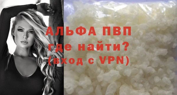 сатива Зеленокумск