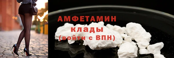 сатива Зеленокумск