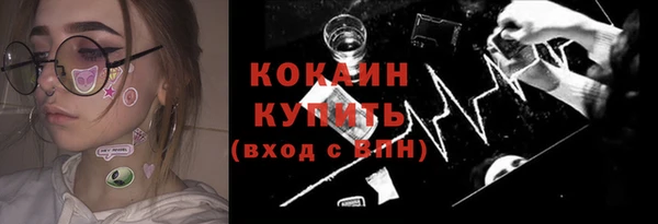 сатива Зеленокумск