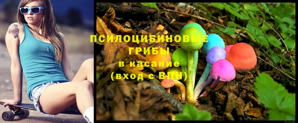сатива Зеленокумск