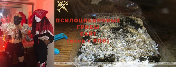 сатива Зеленокумск