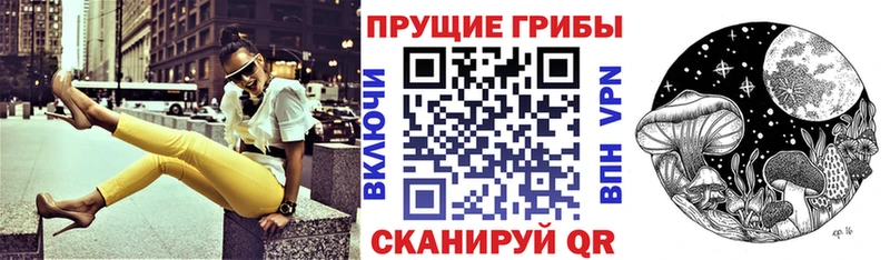 Купить где  Кандалакша  Галлюциногенные грибы Psilocybine cubensis 